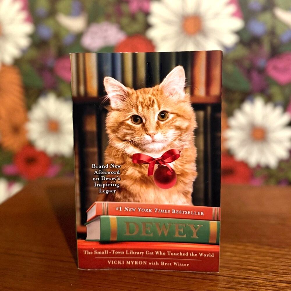 Dewey by Vicki Myron Paperback (Good - Biography)